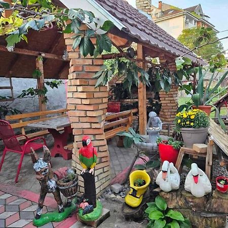 Apartman Centar Srbobran Exterior photo